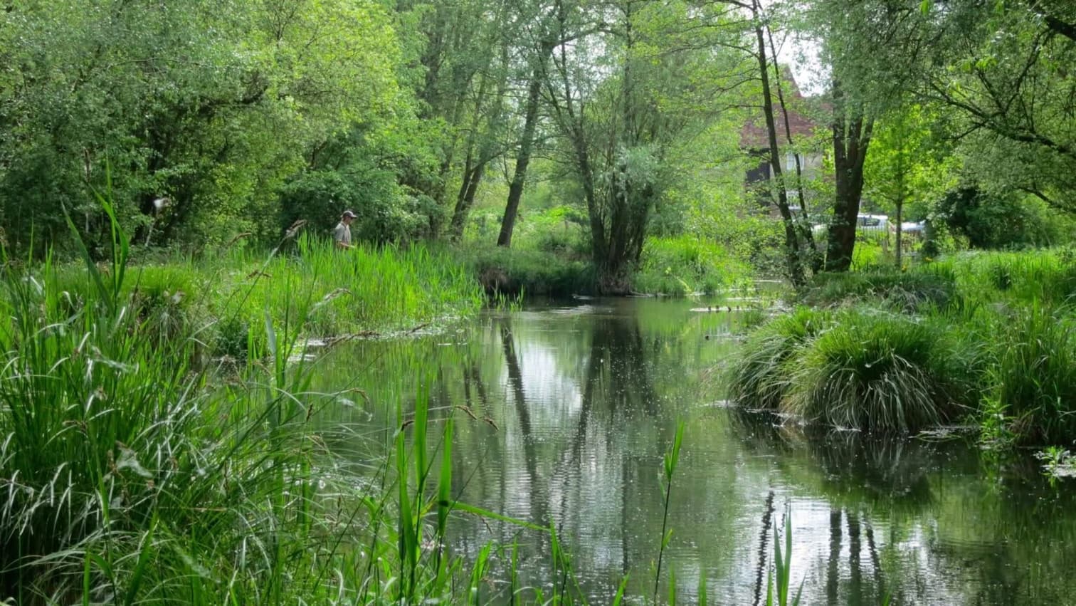 the whitewater river
