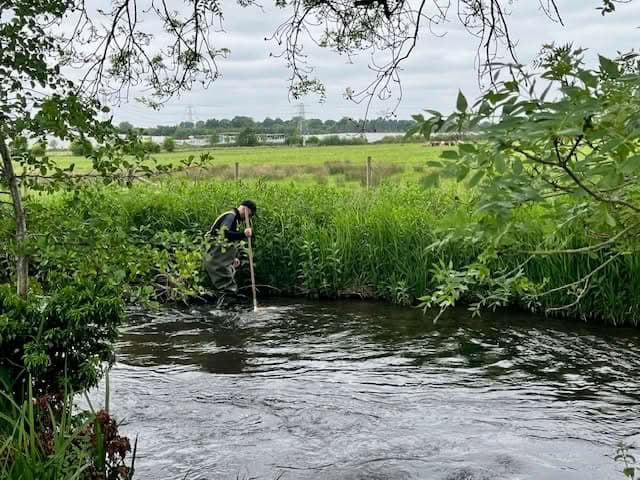Riverfly surveys review